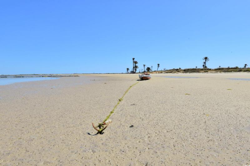 wohnmobil_tunesien_kerkennah_039