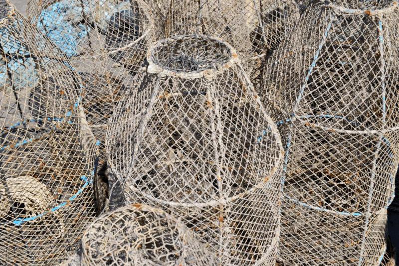 wohnmobil_tunesien_kerkennah_054