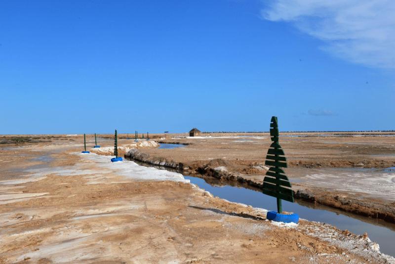 wohnmobil_tunesien_kerkennah_abreise_002