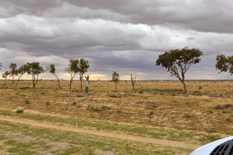 wohnmobil_tunesien_kerkennah_abreise_029