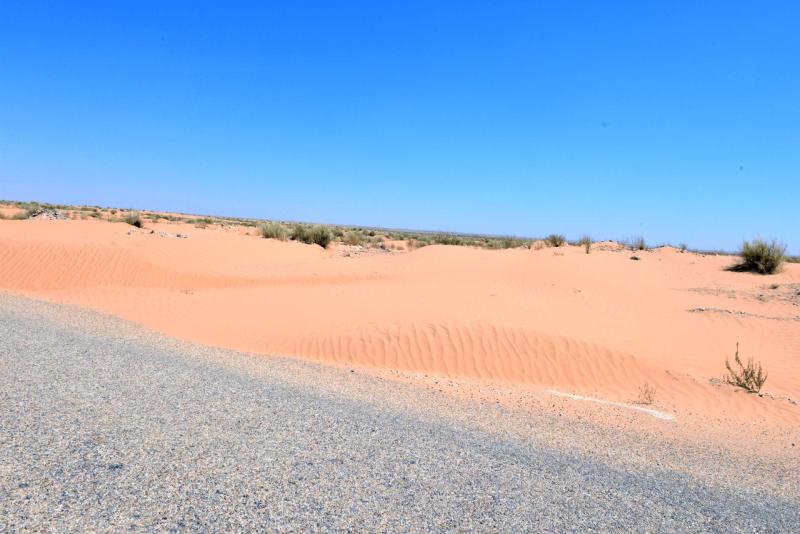 tunesien_wohnmobil_ksar_ghilane_003