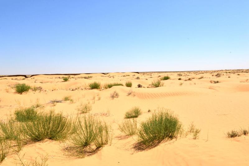 tunesien_wohnmobil_ksar_ghilane_005