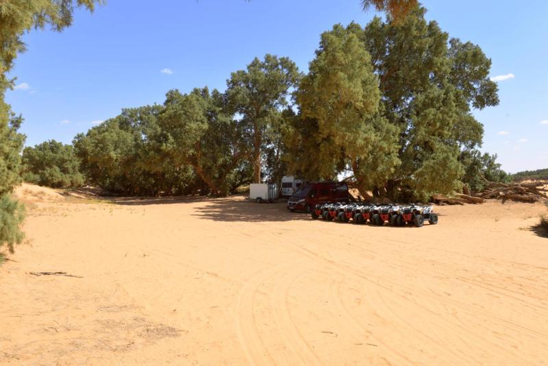 tunesien_wohnmobil_ksar_ghilane_015