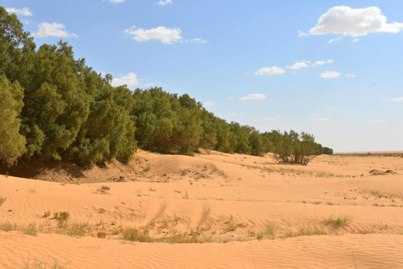 tunesien_wohnmobil_ksar_ghilane_025