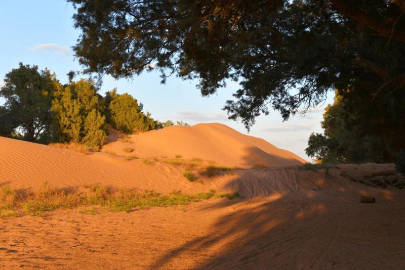 tunesien_wohnmobil_ksar_ghilane_026