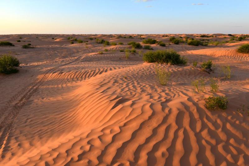 tunesien_wohnmobil_ksar_ghilane_028