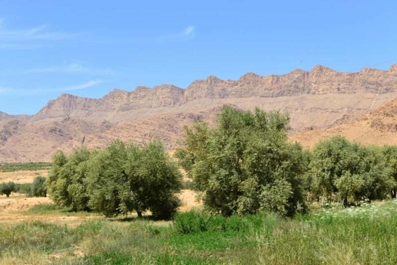 tunesien_wohnmobil__jebel_orbata_sbeitla_006