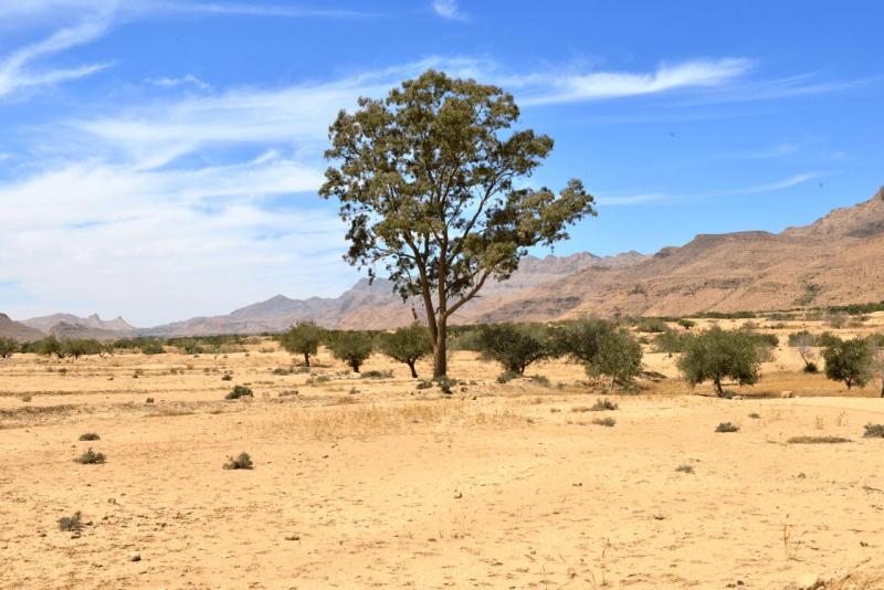 tunesien_wohnmobil__jebel_orbata_sbeitla_008