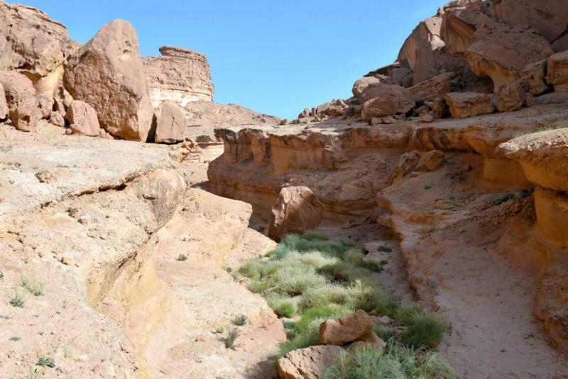 tunesien_wohnmobil_sidi_bouhlel_011