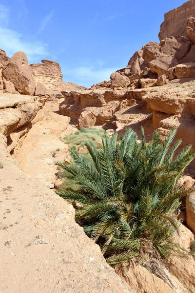 tunesien_wohnmobil_sidi_bouhlel_030