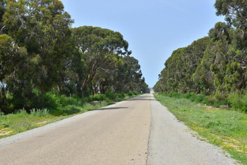 wohnmobil_tunesien_port_el_kanataoui_sousse_007