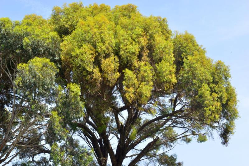 wohnmobil_tunesien_port_el_kanataoui_sousse_008