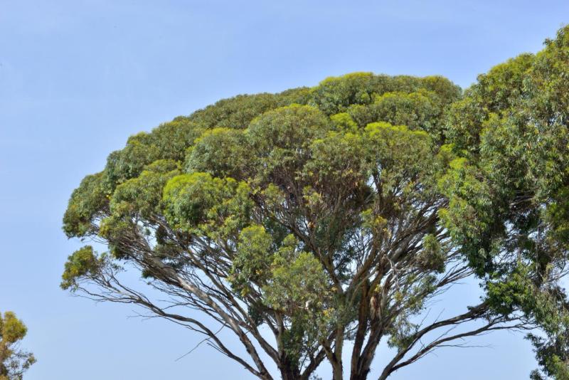 wohnmobil_tunesien_port_el_kanataoui_sousse_009