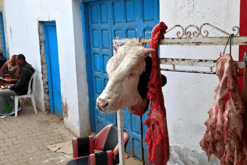 wohnmobil_tunesien_tataouine_rundfahrt_014