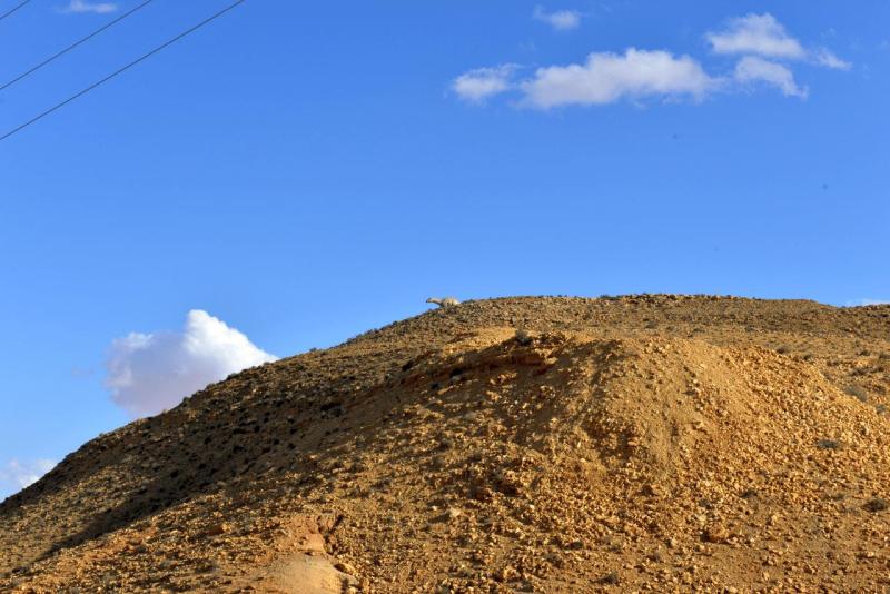 wohnmobil_tunesien_tataouine_rundfahrt_034