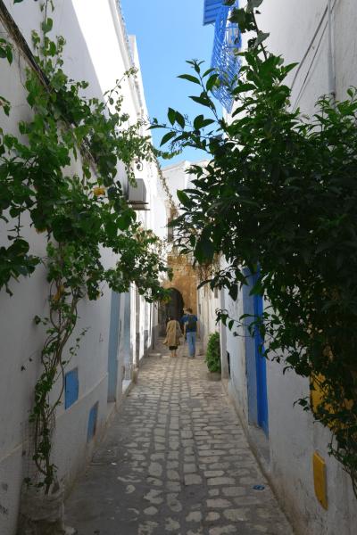 tunesien_wohnmobil_tunis_005