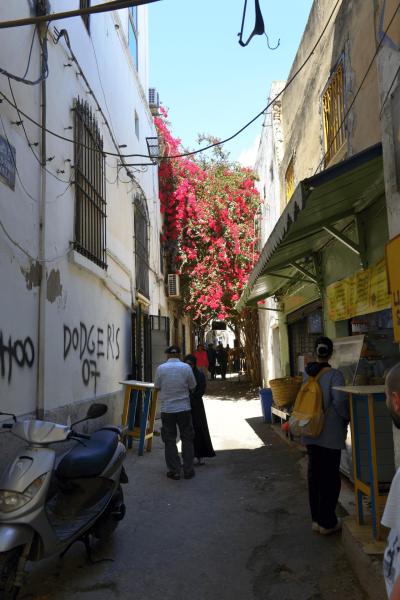 tunesien_wohnmobil_tunis_009