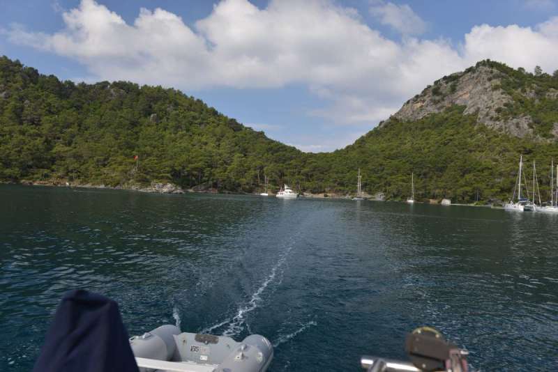 turkey_heading_west_0001