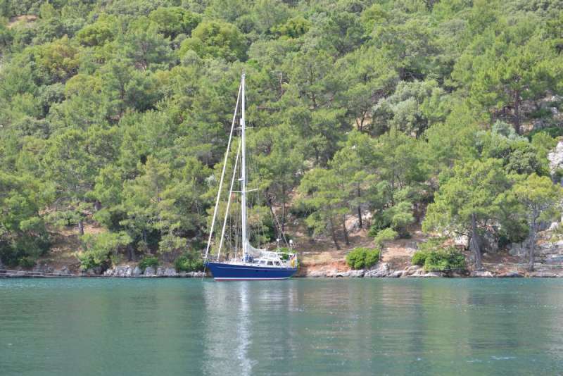 turkey_heading_west_0006