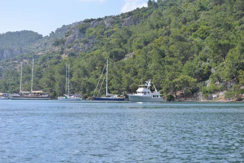 turkey_heading_west_0011