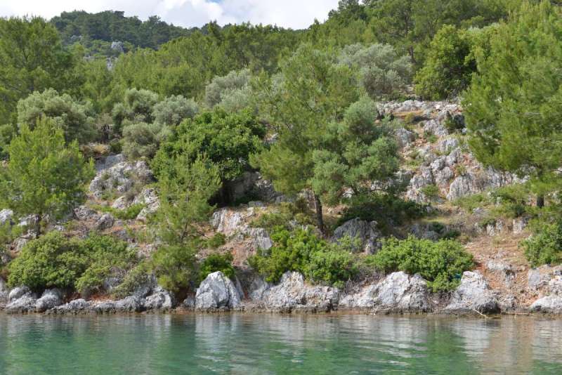 turkey_heading_west_0016