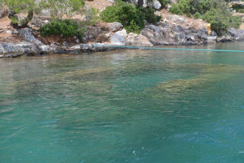 turkey_heading_west_0021