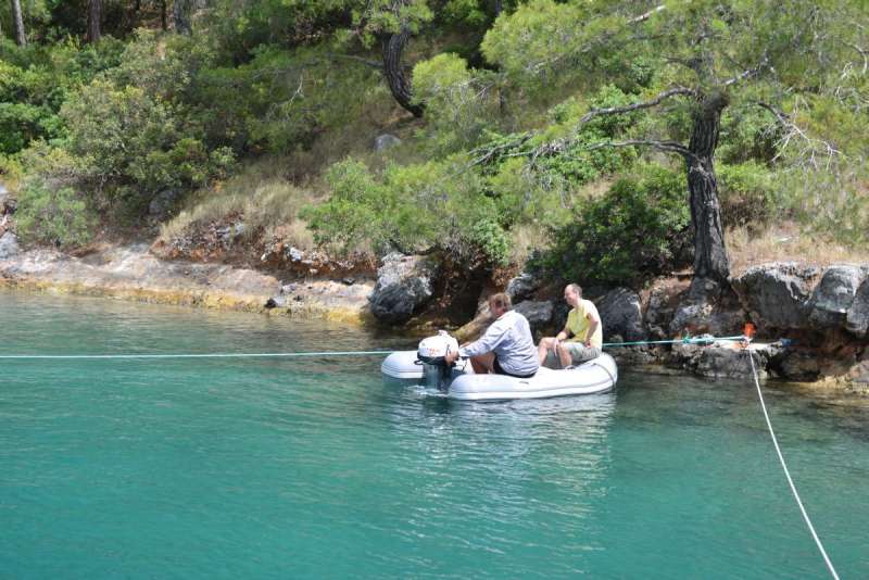 turkey_heading_west_0026