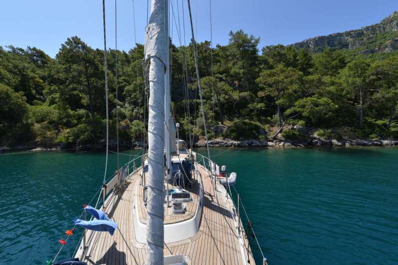 turkey_heading_west_0031