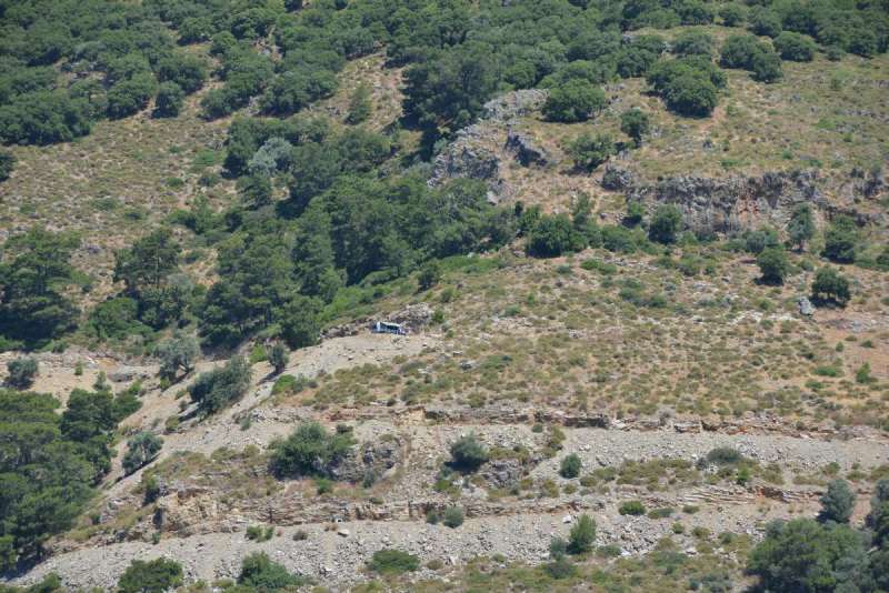 turkey_heading_west_0036