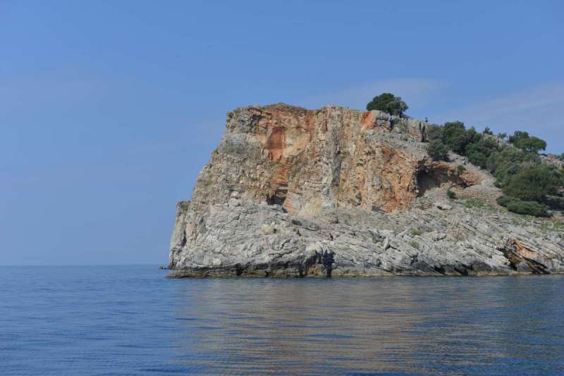 turkey_heading_west_0046