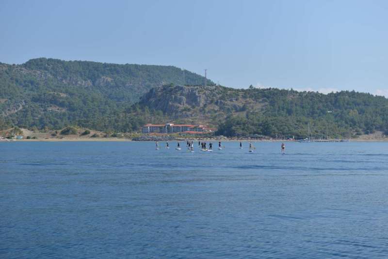 turkey_heading_west_0051