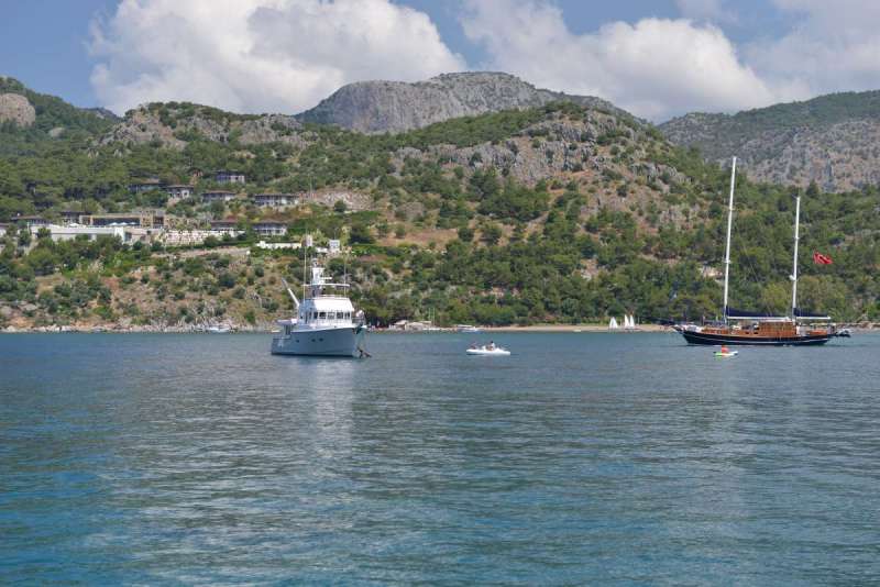 turkey_heading_west_0056