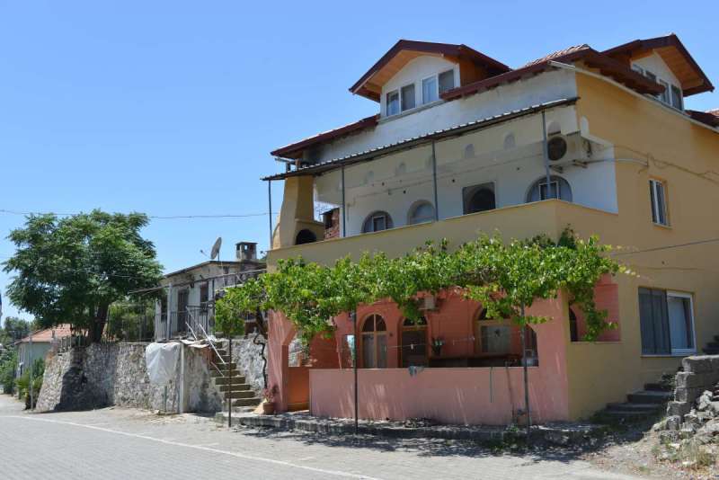 turkey_heading_west_0071