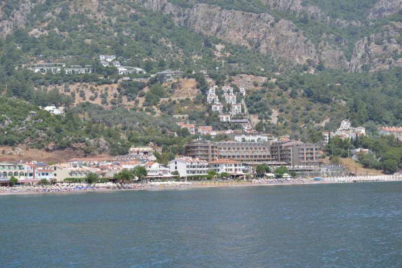 turkey_heading_west_0081