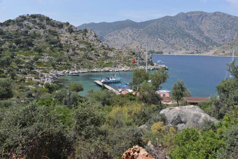 turkey_heading_west_0091