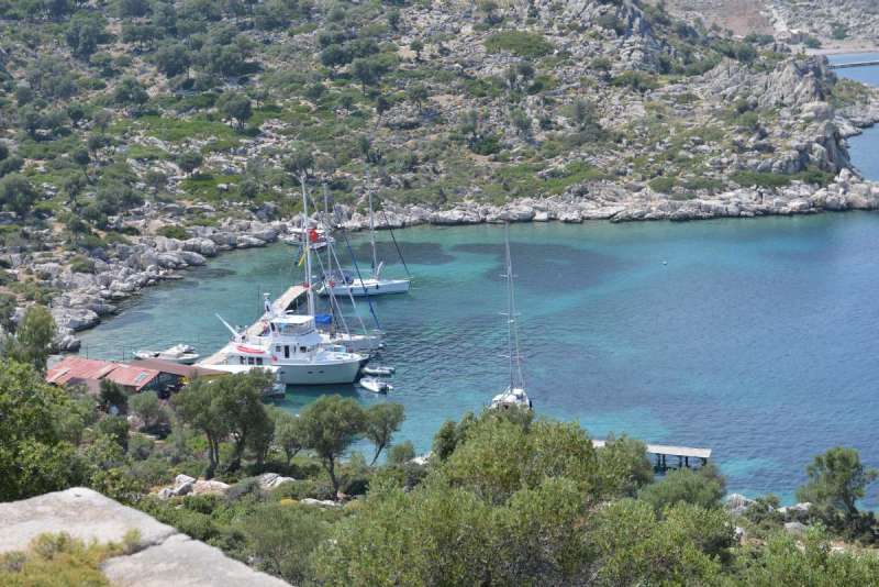 turkey_heading_west_0101