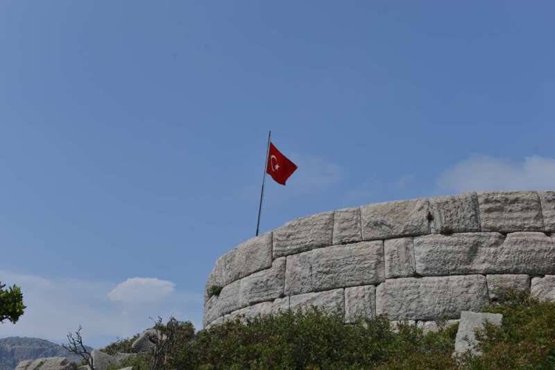 turkey_heading_west_0106