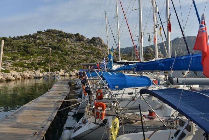 turkey_heading_west_0116