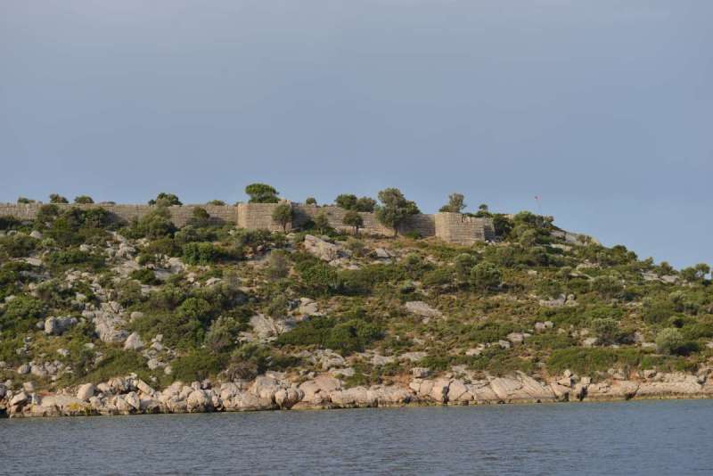 turkey_heading_west_0121