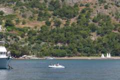 turkey_heading_west