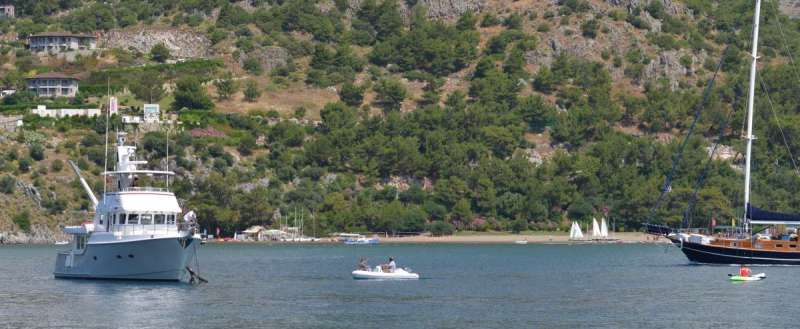 turkey_heading_west_0126