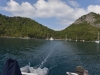 turkey_heading_west_0001
