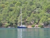 turkey_heading_west_0006