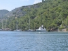 turkey_heading_west_0011