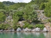turkey_heading_west_0016