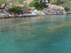 turkey_heading_west_0021