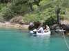 turkey_heading_west_0026