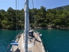 turkey_heading_west_0031