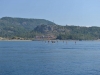 turkey_heading_west_0051