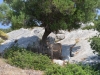 turkey_heading_west_0096